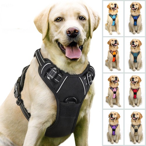 Imbracatura per cani - imbracatura,