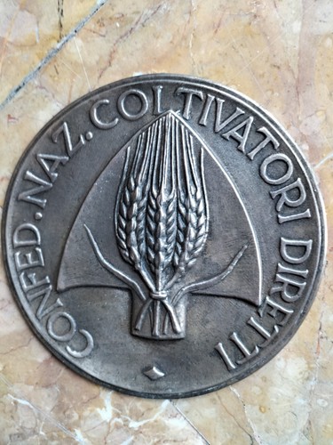 Grande piastra bronzo - grande,